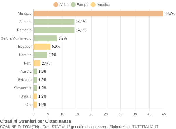 Grafico cittadinanza stranieri - Ton 2005