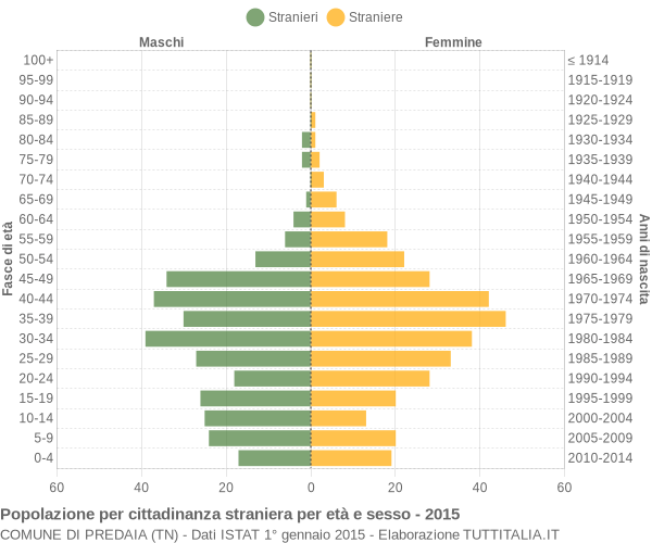 Grafico cittadini stranieri - Predaia 2015