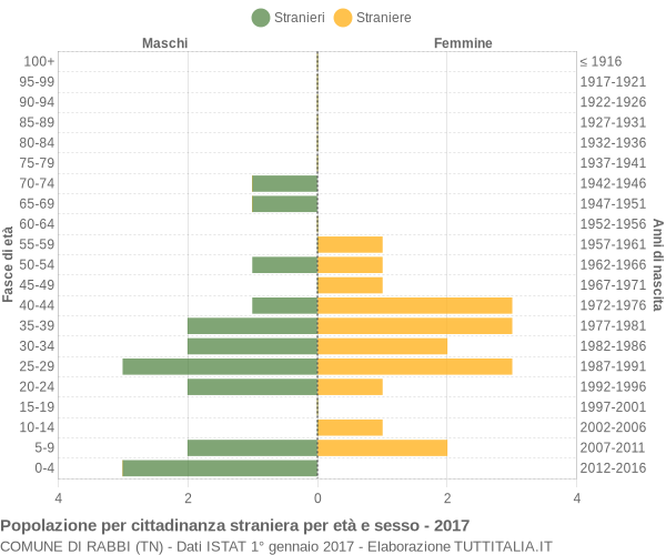 Grafico cittadini stranieri - Rabbi 2017