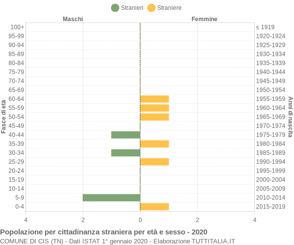 Grafico cittadini stranieri - Cis 2020