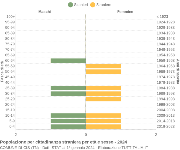 Grafico cittadini stranieri - Cis 2024