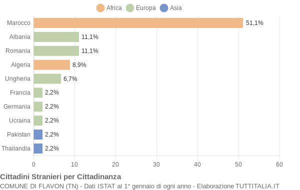 Grafico cittadinanza stranieri - Flavon 2005