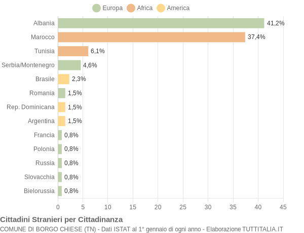 Grafico cittadinanza stranieri - Borgo Chiese 2005