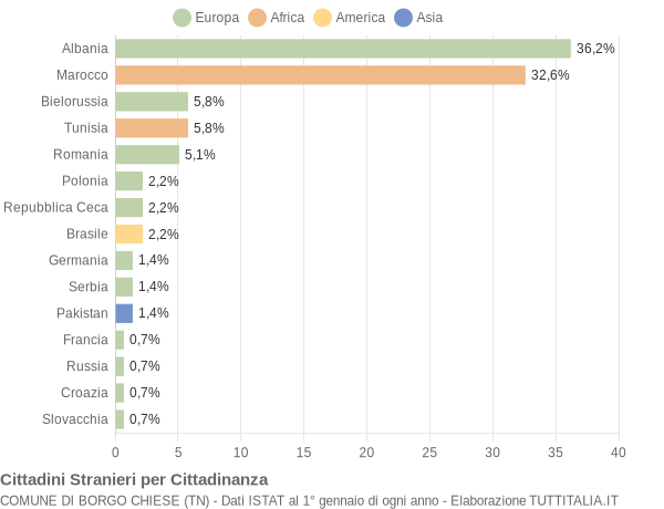 Grafico cittadinanza stranieri - Borgo Chiese 2011