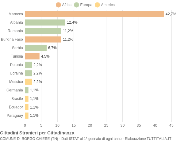 Grafico cittadinanza stranieri - Borgo Chiese 2021