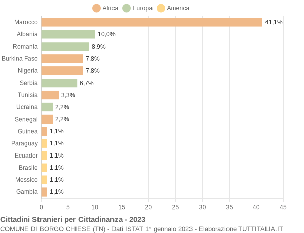 Grafico cittadinanza stranieri - Borgo Chiese 2023