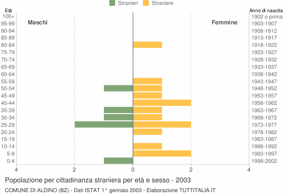 Grafico cittadini stranieri - Aldino 2003