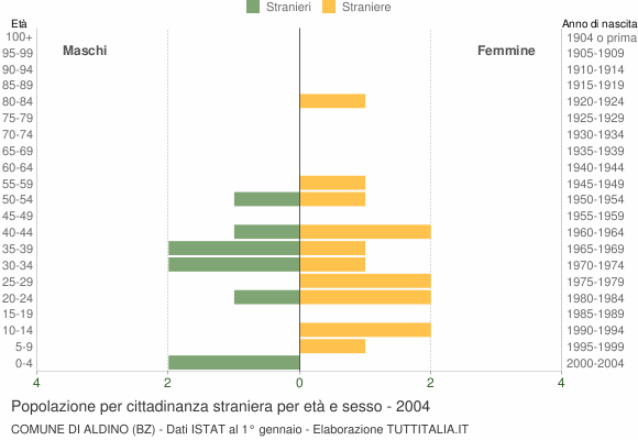 Grafico cittadini stranieri - Aldino 2004