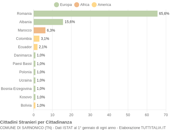 Grafico cittadinanza stranieri - Sarnonico 2017