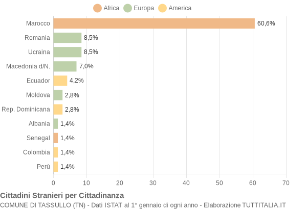 Grafico cittadinanza stranieri - Tassullo 2004