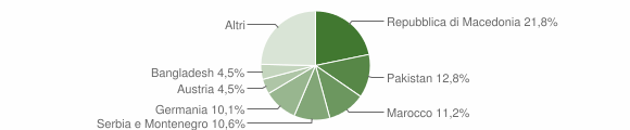 Grafico cittadinanza stranieri - Ora 2005