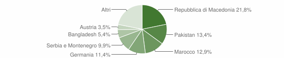 Grafico cittadinanza stranieri - Ora 2007