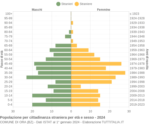 Grafico cittadini stranieri - Ora 2024