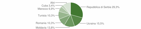 Grafico cittadinanza stranieri - Ronzo-Chienis 2012