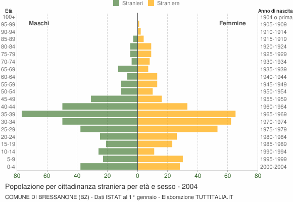 Grafico cittadini stranieri - Bressanone 2004
