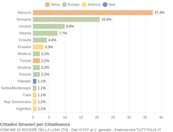 Grafico cittadinanza stranieri - Roverè della Luna 2005