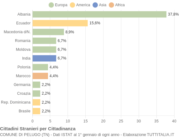 Grafico cittadinanza stranieri - Pelugo 2013