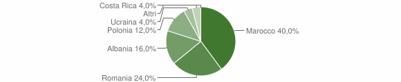 Grafico cittadinanza stranieri - Telve di Sopra 2010