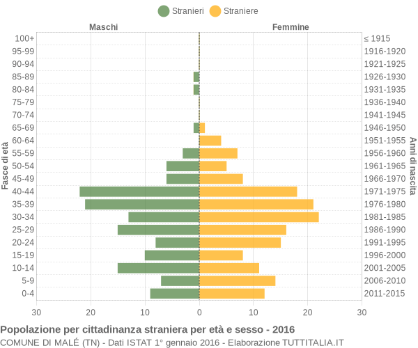 Grafico cittadini stranieri - Malé 2016