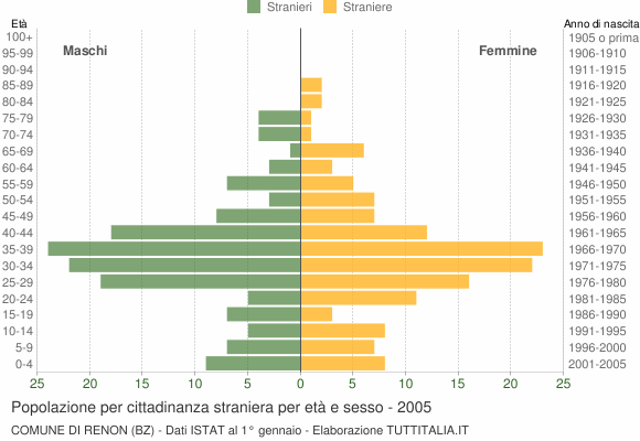 Grafico cittadini stranieri - Renon 2005