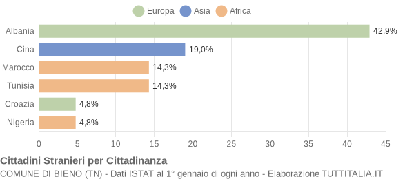 Grafico cittadinanza stranieri - Bieno 2006