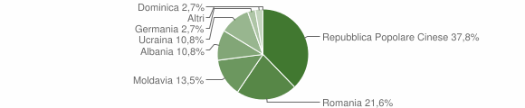 Grafico cittadinanza stranieri - Bieno 2013
