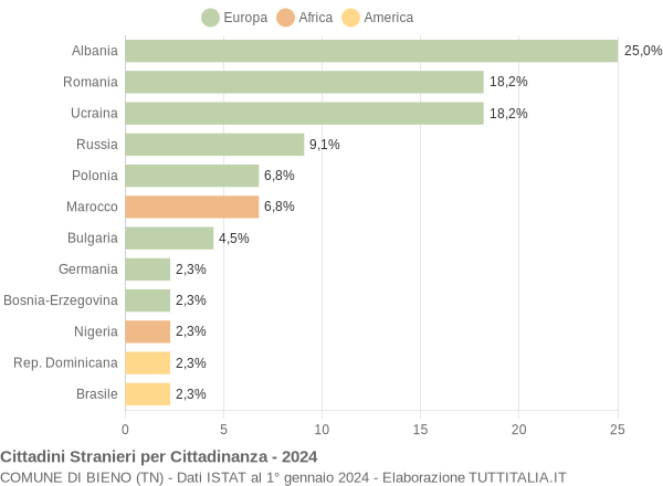 Grafico cittadinanza stranieri - Bieno 2024