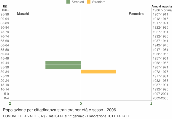 Grafico cittadini stranieri - La Valle 2006