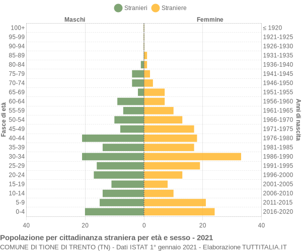 Grafico cittadini stranieri - Tione di Trento 2021