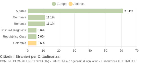 Grafico cittadinanza stranieri - Castello Tesino 2005