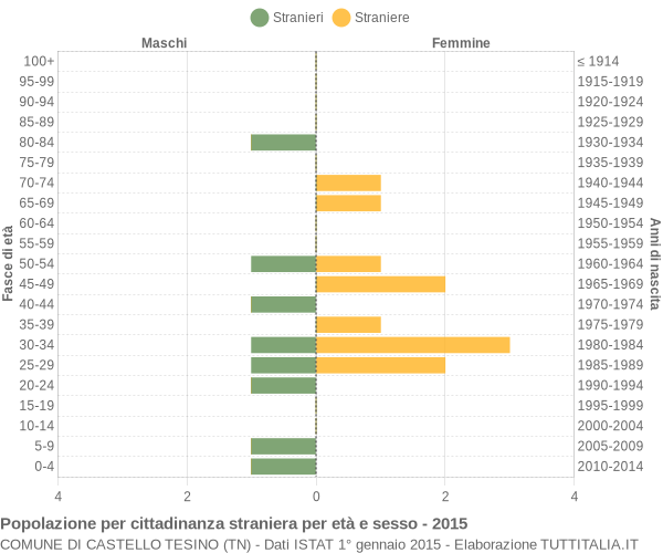 Grafico cittadini stranieri - Castello Tesino 2015