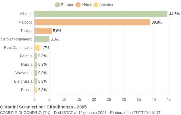 Grafico cittadinanza stranieri - Condino 2005