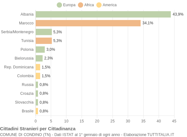 Grafico cittadinanza stranieri - Condino 2006