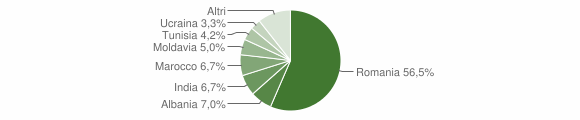 Grafico cittadinanza stranieri - Avio 2015