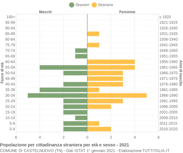 Grafico cittadini stranieri - Castelnuovo 2021