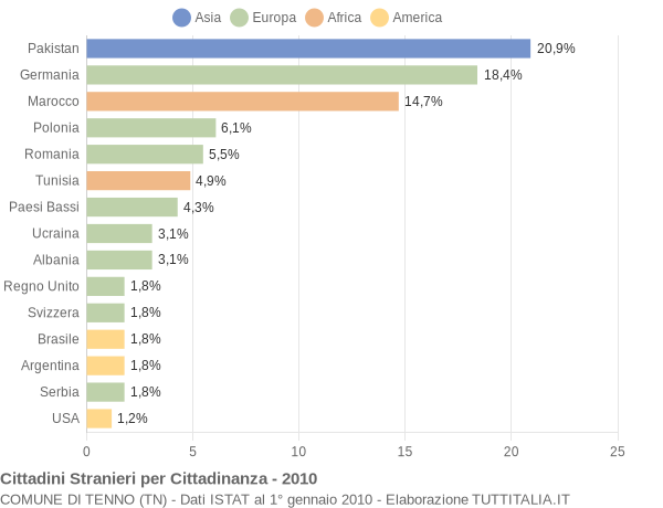 Grafico cittadinanza stranieri - Tenno 2010