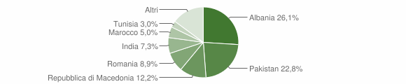 Grafico cittadinanza stranieri - Madruzzo 2015