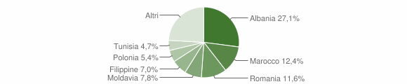 Grafico cittadinanza stranieri - Aldeno 2007