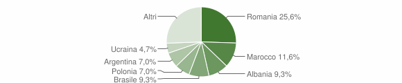 Grafico cittadinanza stranieri - Bedollo 2009