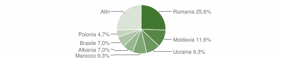 Grafico cittadinanza stranieri - Bedollo 2013