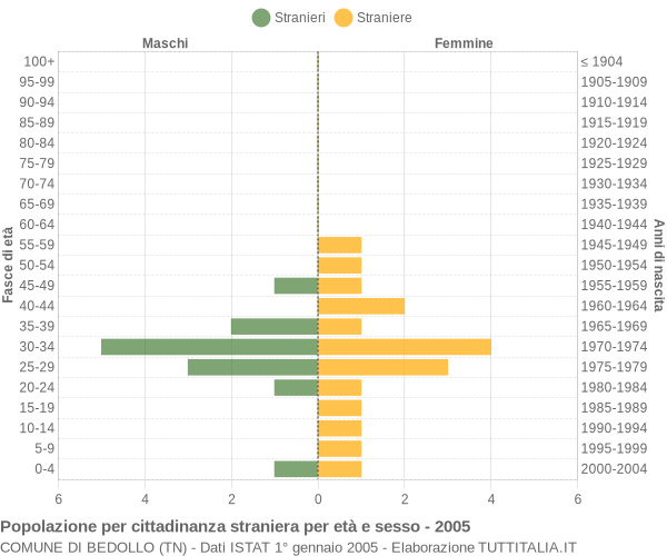 Grafico cittadini stranieri - Bedollo 2005