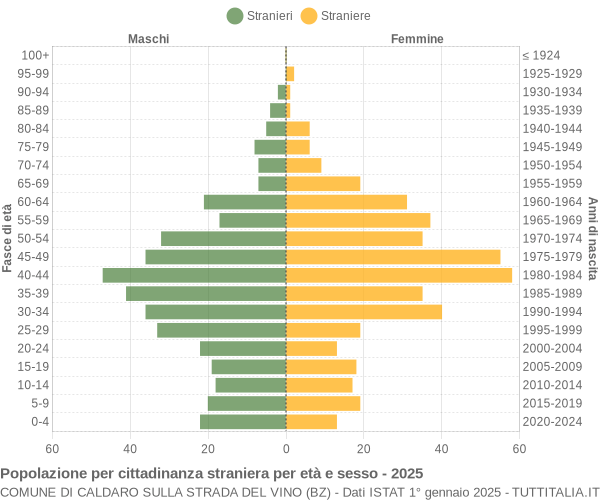 Grafico cittadini stranieri - Caldaro sulla strada del vino 2025