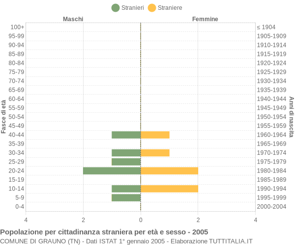 Grafico cittadini stranieri - Grauno 2005