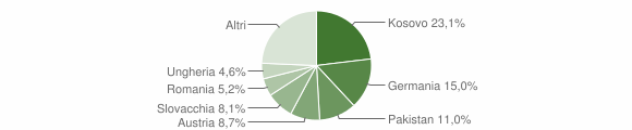 Grafico cittadinanza stranieri - Campo Tures 2009