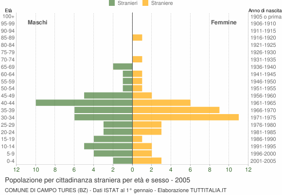 Grafico cittadini stranieri - Campo Tures 2005