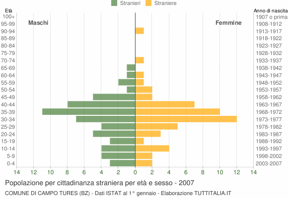 Grafico cittadini stranieri - Campo Tures 2007