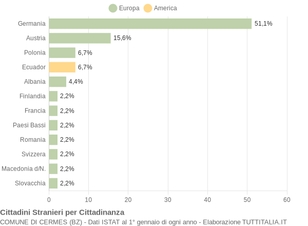 Grafico cittadinanza stranieri - Cermes 2005