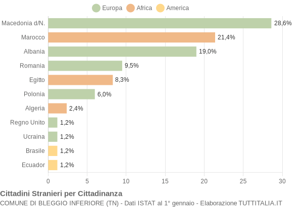 Grafico cittadinanza stranieri - Bleggio Inferiore 2005