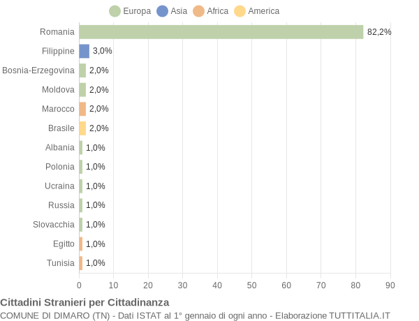 Grafico cittadinanza stranieri - Dimaro 2010