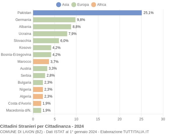 Grafico cittadinanza stranieri - Laion 2024